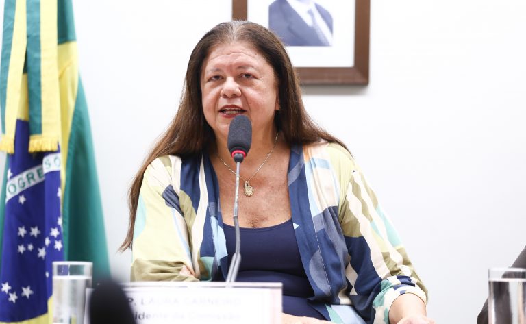 Comissão aprova projeto que prevê uso de algoritmo no combate a crimes contra crianças