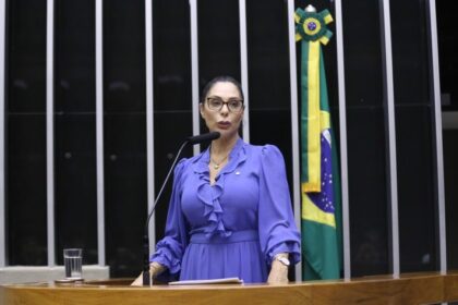 Projeto reduz a área de proteção ambiental da Baleia Franca, em Santa Catarina