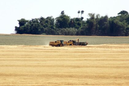 Comissão debate obstáculos para a realização do Cadastro Ambiental Rural e do georreferenciamento dos imóveis