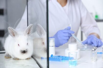 Balanço do semestre: projeto aprovado proíbe uso de animais em testes de cosméticos