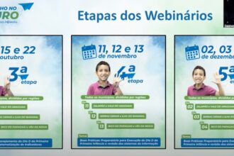 Agentes dos municípios da região do Jalapão e do Vale do Araguaia são capacitados no 2º webinário
