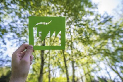 Medida provisória estabelece regras para a Licença Ambiental Especial