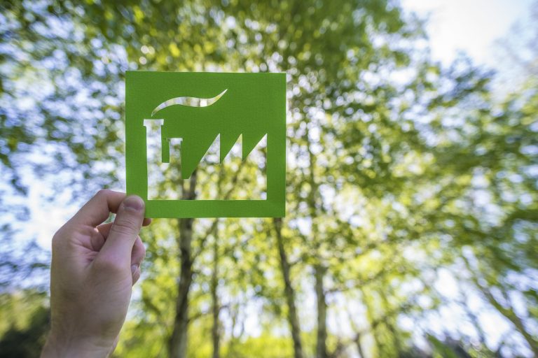Medida provisória estabelece regras para a Licença Ambiental Especial