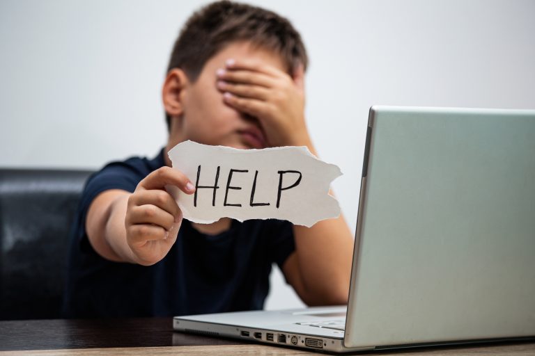 Comissão de Segurança Pública debate combate a crimes cibernéticos contra crianças e adolescentes