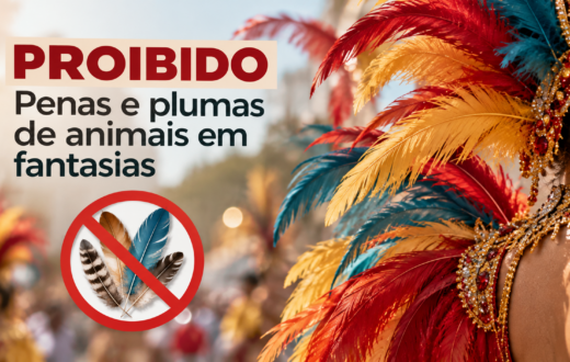Proibido_-Penas-e-Plumas-em-Fantasias